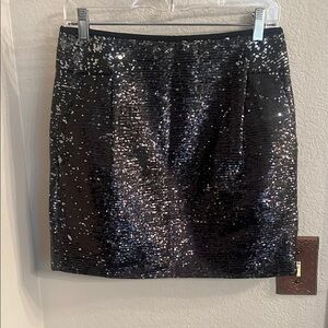 Sequin Black Skirt JCrew